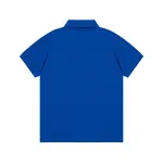 Chest Embroidered Polo Shirt