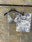 Dior Bikini Series