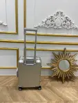 RIMOWA Aluminum Alloy Boutique original 925 series silver high-end anodized aluminum 21 inches