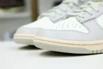 Nike Dunk Lowlight bone