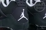 Jordan Air Jordan 4"Fear"
