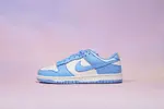 DUNK SB LOW COAST
