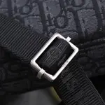 DIOR Oblique