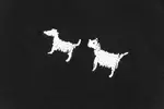 Dog Embroidery T Shirt