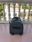 LV Trolley Case Original20inches 32x55x28cm