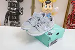 NIKE SB DUNK LOW TRD