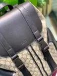 Gucci Backpack Model:495563
