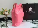Chanle 22 Backpack