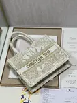 Small Dior Book Tote
