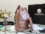 Chanle 22 Backpack