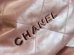 Chanle 22 Backpack