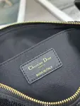 Dior Dream Bag