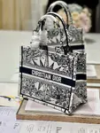 Small Dior Book Tote