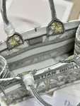 Small Dior Book Tote