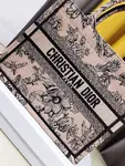 Small Dior Book Tote
