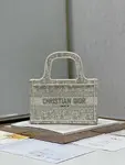 Mini Dior Book Tote