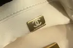 Chanle 19 Handbag