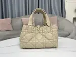 Dior Toujours Bag