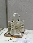 Small Dior Book Tote