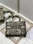 Small Dior Book Tote