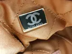 Chanle 22 Backpack