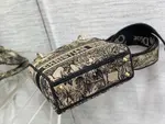 Mini Lady Dior Bag