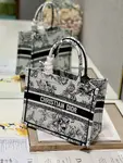 Small Dior Book Tote