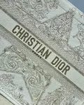 Large Dior Book Tote