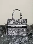 Small Dior Book Tote
