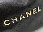 Chanle 22 Backpack