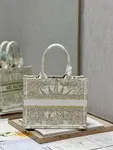 Small Dior Book Tote