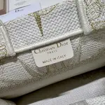 Small Dior Book Tote