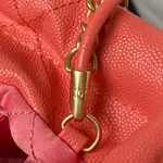 Chanle 22 Backpack Mini