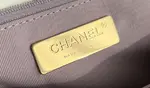 Chanle 19 Handbag