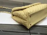 Chanle Coco Handle Bag
