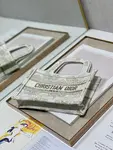 Mini Dior Book Tote
