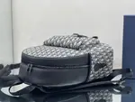 Dior Explorer Backpack