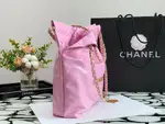 Chanle 22 Backpack