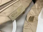 Chanle 22 Backpack