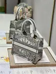 Small Dior Book Tote