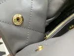 Chanle 22 Backpack