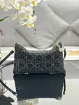 Dior Dream Bag