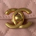 Chanle Mini Flap Bag With Top Handle