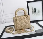 Mini Lady Dior Bag