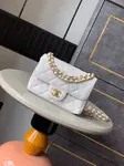 Chanel 25p Classic Double Flap Bag