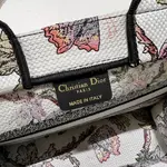Small Dior Book Tote