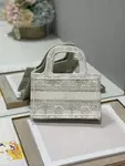 Mini Dior Book Tote