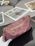 Dior Dream Bag