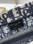 Small Dior Book Tote