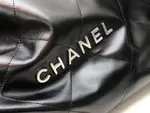 Chanle 22 Backpack